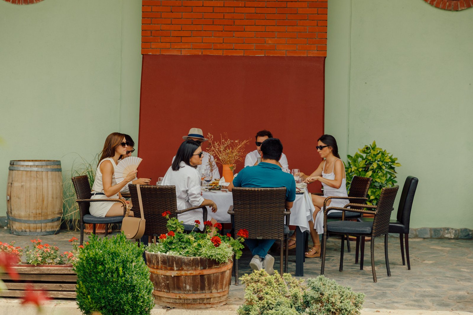 Popov + Bovin: One-Day Wine Tour