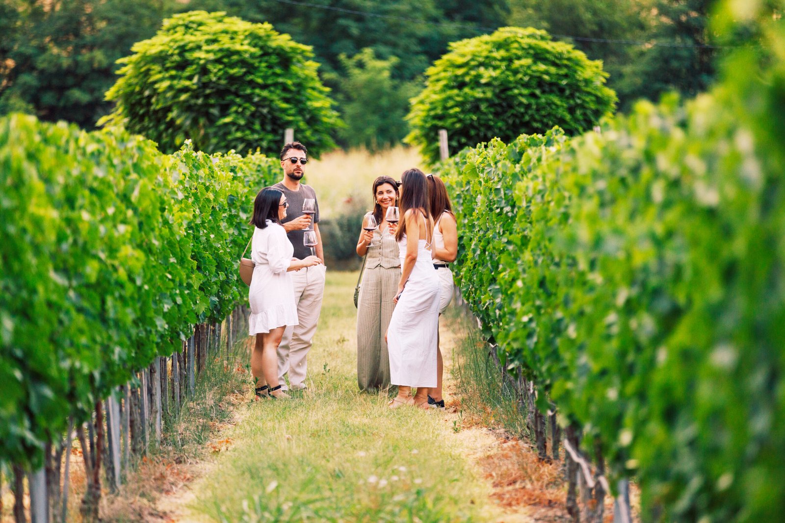 Kamnik + Lazar: One-Day Wine Tour